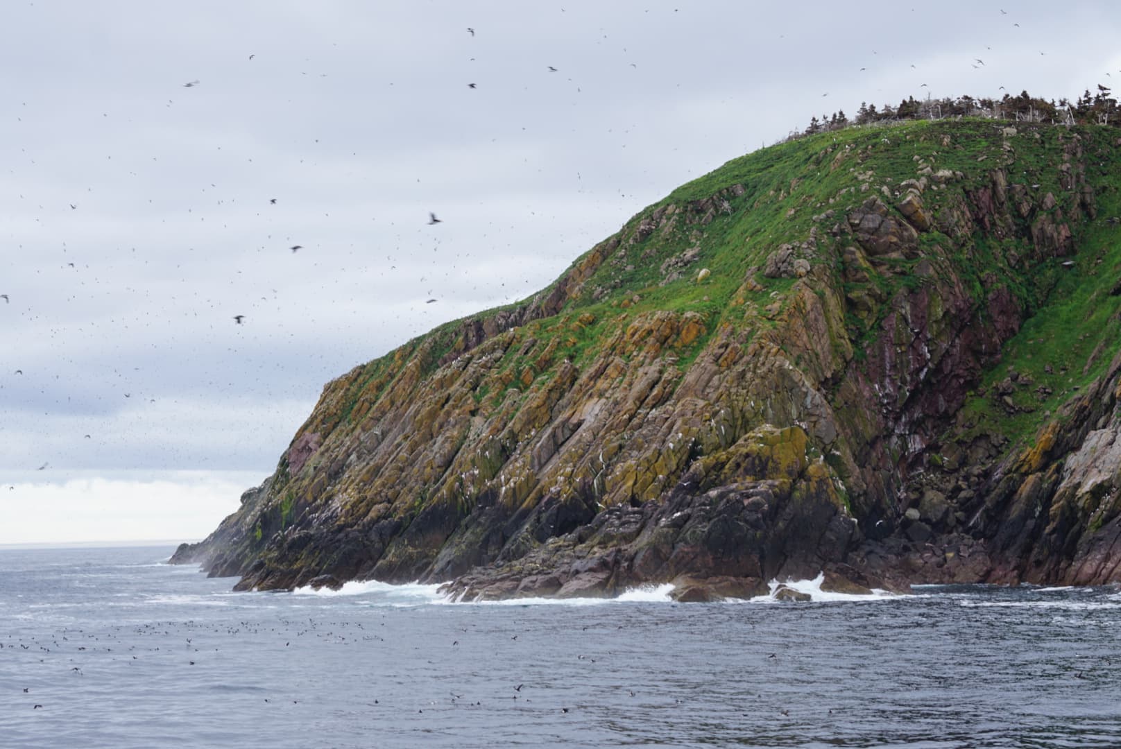 The craggy rock face of the coast of Newfoundland on an overcast day as seen from a boat on the water